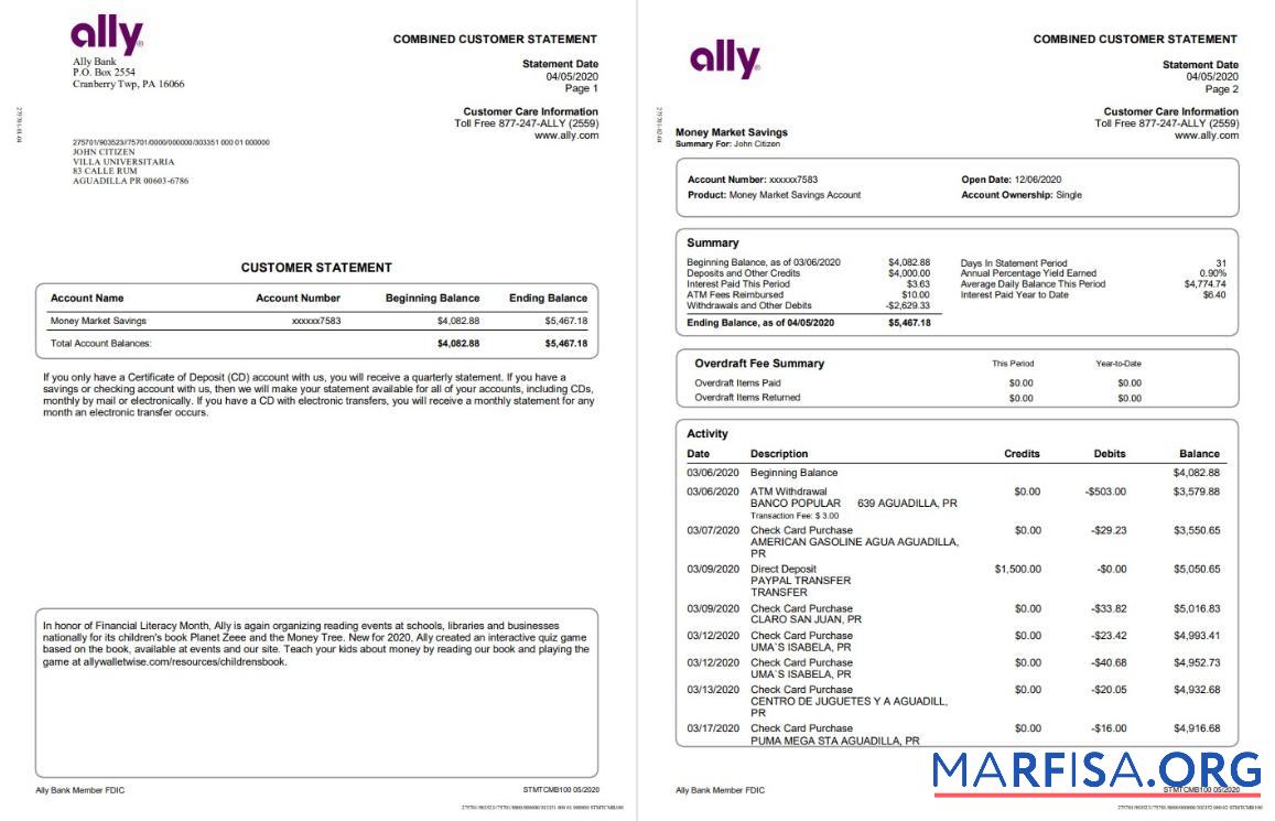 Printable USA Ally bank statement word (4 pages) real example